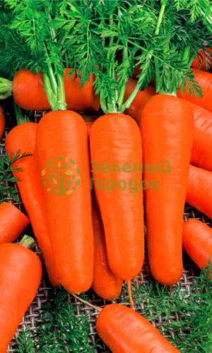 Морковь Московская зимняя (Марс) белый пакет 1500шт