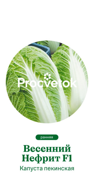 Капуста пекинская Весенний Нефрит F1 Польша Pro 0,5г