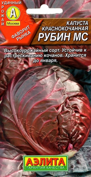 Капуста краснокочанная Рубин МС АЭ 0,3г