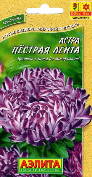 Астра Пестрая лента смесь АЭ 0,1г
