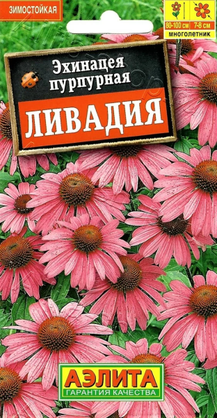 Эхинацея пурпурная Ливадия АЭ 0,3г Эхинацея пурпурная Ливадия АЭ 0,3г