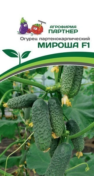 Огурец МИРОША F1 10шт