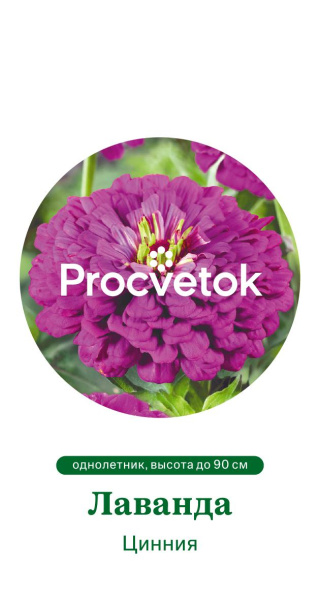 Цинния Лаванда Германия Pro 0,5г