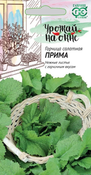 Горчица салатная Прима Урожай на окне ГВ 1г