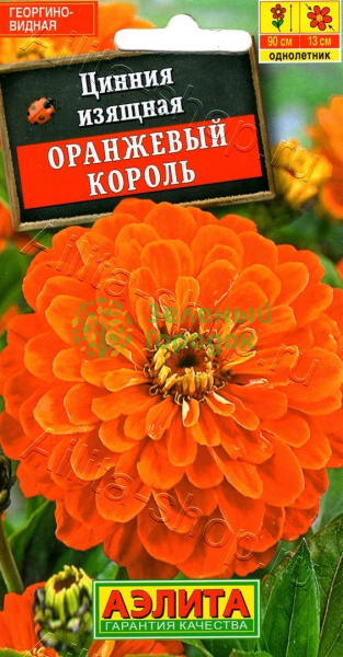 Цинния Оранжевый король АЭ 0,3г