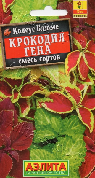 Колеус блюме Крокодил Гена смесь сортов АЭ 0,05г