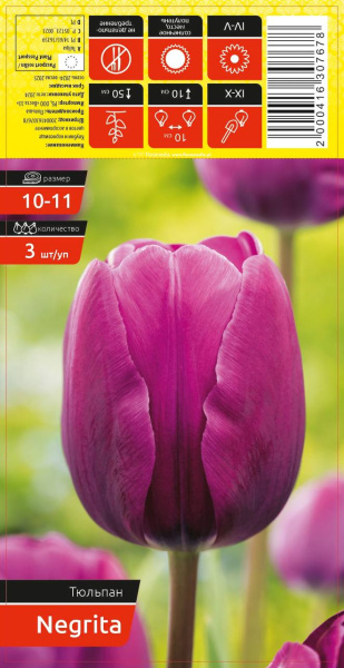 Тюльпан NEGRITA 10-11 каперс 3шт/уп (уценка, только самовывоз)