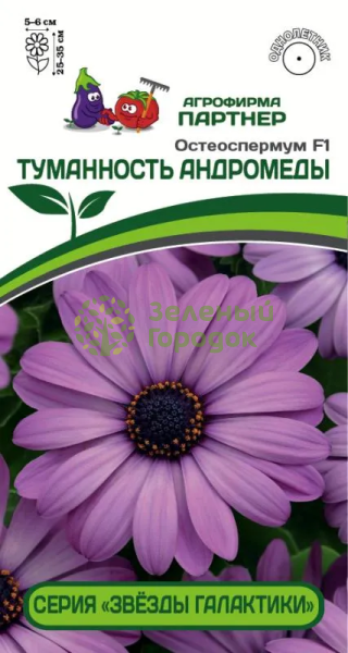 Остеоспермум эклона Звёзды галактики ТУМАННОСТЬ АНДРОМЕДЫ F1 3шт в амп