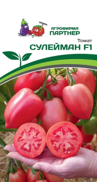 Томат СУЛЕЙМАН F1 2-ной пак. 0,05г Томат СУЛЕЙМАН F1 2-ной пак. 0,05г