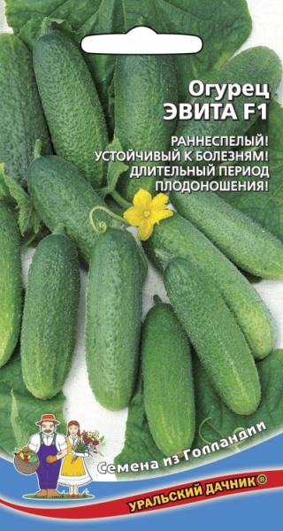 Огурец Эвита F1 УД 0,15г Огурец Эвита F1 УД 0,15г
