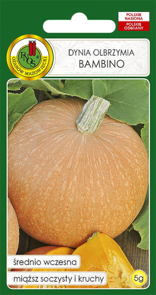 Тыква Бамбино Польша 5г Тыква Бамбино Польша 5г
