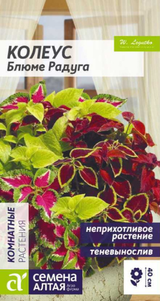 Колеус Блюме Радуга смесь SA 0,01г