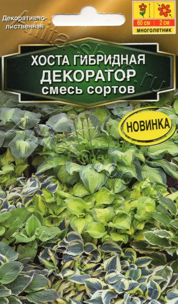 Хоста Декоратор смесь сортов АЭ 5шт Хоста Декоратор смесь сортов АЭ 5шт