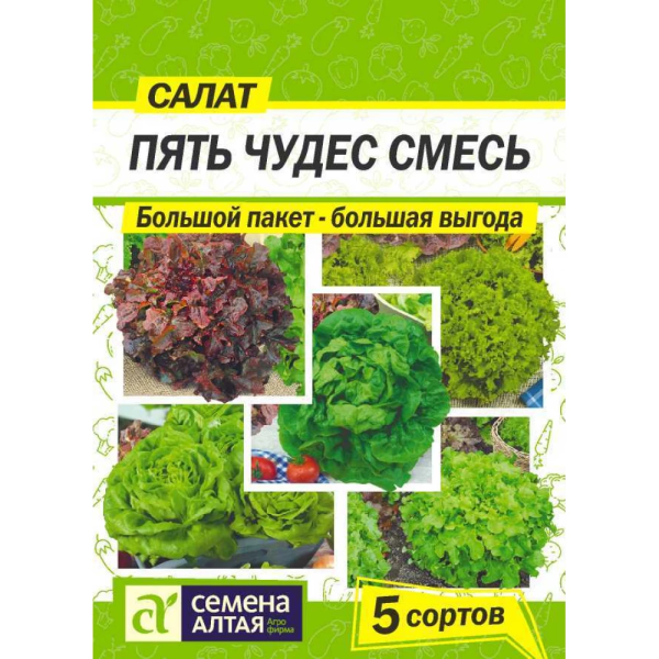 Салат Пять Чудес Смесь SA большой пакет 2,5г Салат Пять Чудес Смесь SA большой пакет 2,5г