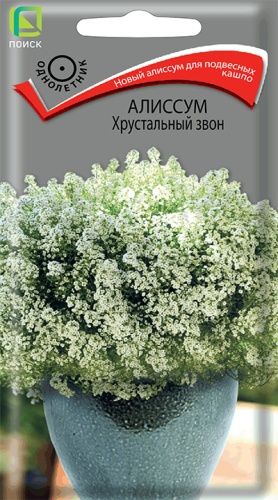 Алиссум Хрустальный звон (ЦВ) 20шт