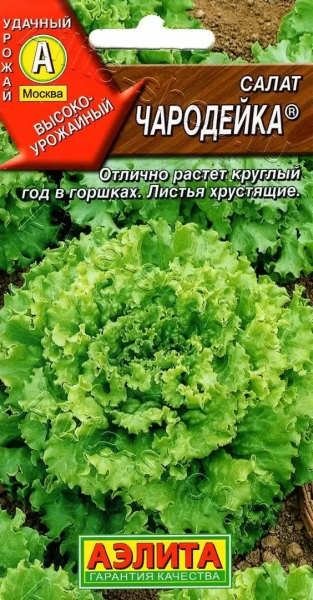 Салат Чародейка АЭ 0,5г Салат Чародейка АЭ 0,5г
