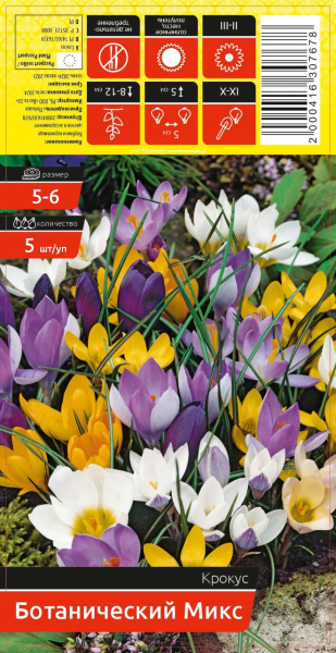Крокус MIX BOTANICZNY 5-6 каперс 5шт/уп (уценка, только самовывоз)