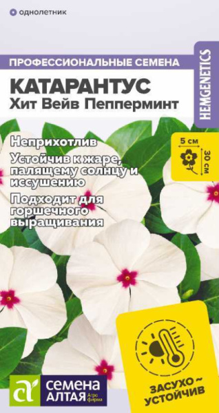 Катарантус Хит Вейв Пепперминт SA 5шт Катарантус Хит Вейв Пепперминт SA 5шт