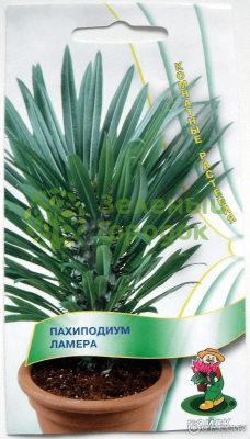 Пахиподиум Ламера (ЦВ) (К) 3шт Пахиподиум Ламера (ЦВ) (К) 3шт