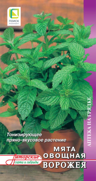 Мята овощная Ворожея (ЦВ) 0,1г Мята овощная Ворожея (ЦВ) 0,1г