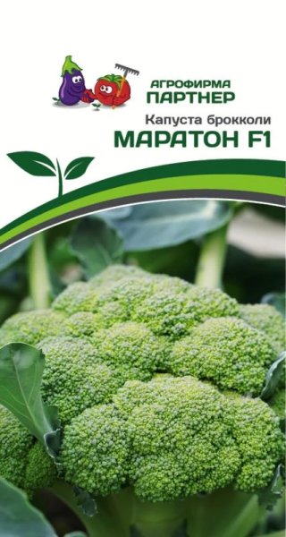 Капуста брокколи МАРАТОН F1 10шт Капуста брокколи МАРАТОН F1 10шт