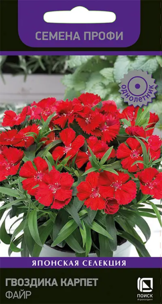 Гвоздика Карпет Файр семена Профи (ЦВ) 10шт