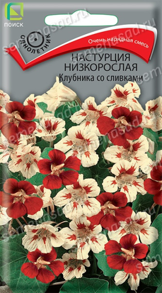 Настурция низкорослая Клубника со сливками (ЦВ) 1г Настурция низкорослая Клубника со сливками (ЦВ) 1г