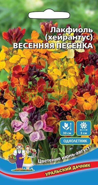 Лакфиоль Весенняя песенка УД