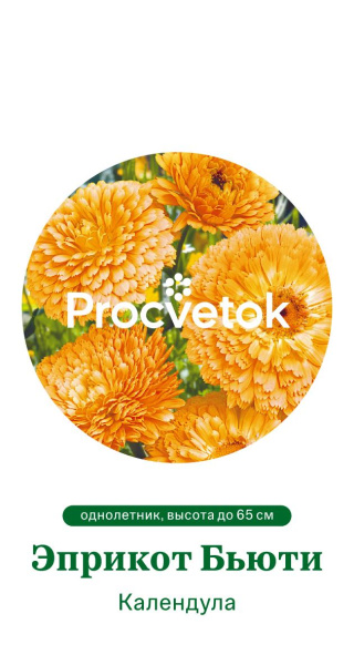 Календула Эприкот Бьюти Германия Pro 1г
