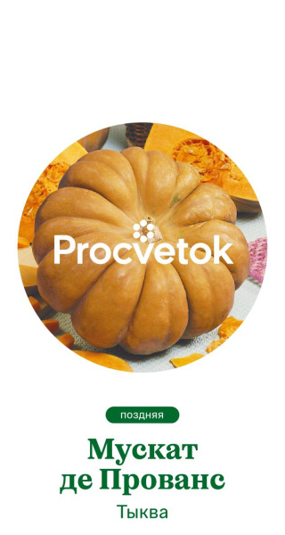 Тыква Мускат де Прованс Германия Pro 1г Тыква Мускат де Прованс Германия Pro 1г