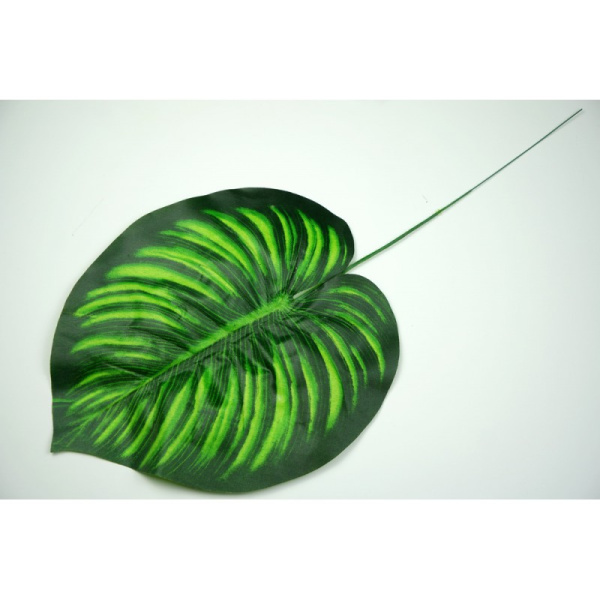 Лист диффенбахии 46см арт. ЗК052з (самовывоз и курьер по Минску)