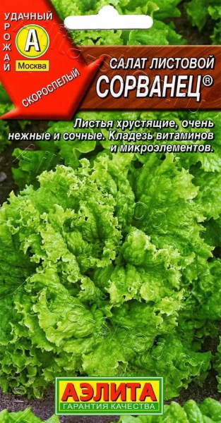 Салат Сорванец листовой АЭ 0,5г Салат Сорванец листовой АЭ 0,5г