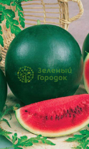 Арбуз Сахарный Малыш (Шуга Бейби) (Марс) белый пакет 1г Арбуз Сахарный Малыш (Шуга Бейби) (Марс) белый пакет 1г