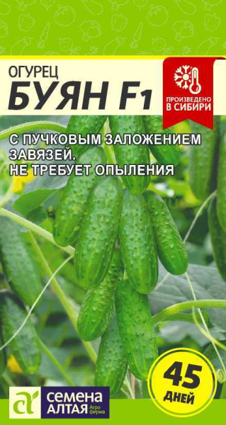 Огурец Буян F1 SA 5шт Огурец Буян F1 SA 5шт