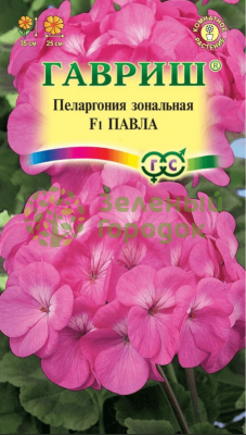 Пеларгония Павла F1 зональная (4 шт) Пеларгония Павла F1 зональная (4 шт)