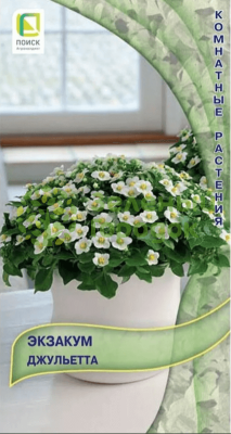 Экзакум Джульетта (ЦВ) 5шт Экзакум Джульетта (ЦВ) 5шт