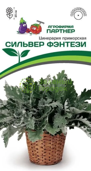 Цинерария Приморская СИЛЬВЕР ФЭНТЕЗИ 15шт в амп