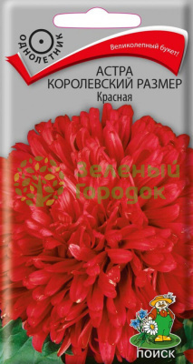 Астра королевский размер Красная (ЦВ) 0,1г Астра королевский размер Красная (ЦВ) 0,1г