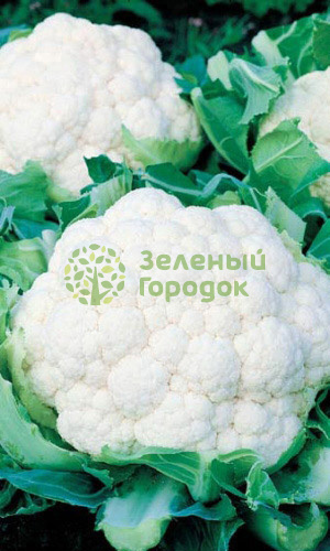 Капуста цветная Снежный шар (Марс) белый пакет 0,3г Капуста цветная Снежный шар (Марс) белый пакет 0,3г