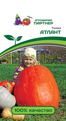 Тыква АТЛАНТ 10шт Тыква АТЛАНТ 10шт