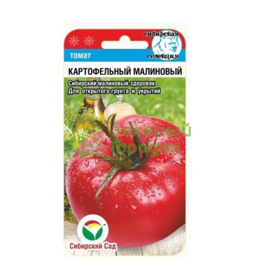 Томат Картофельный малиновый СИБ 20шт