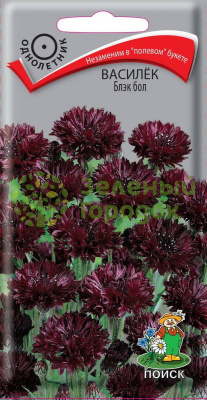 Василек Блэк бол 1г