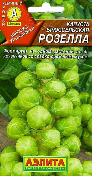 Капуста брюссельская Розелла АЭ 0,3г Капуста брюссельская Розелла АЭ 0,3г