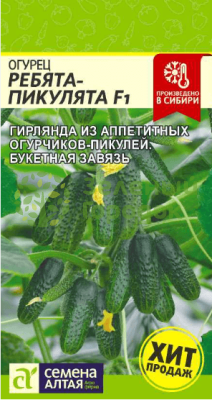 Огурец Ребята-Пикулята F1 SA 5шт Огурец Ребята-Пикулята F1 SA 5шт