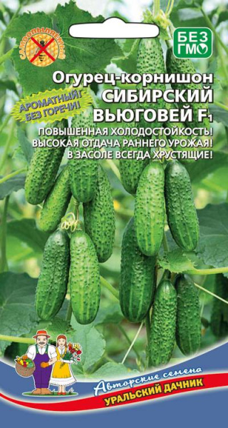 Огурец Сибирский Вьюговей F1 корнишон УД 10шт Огурец Сибирский Вьюговей F1 корнишон УД 10шт