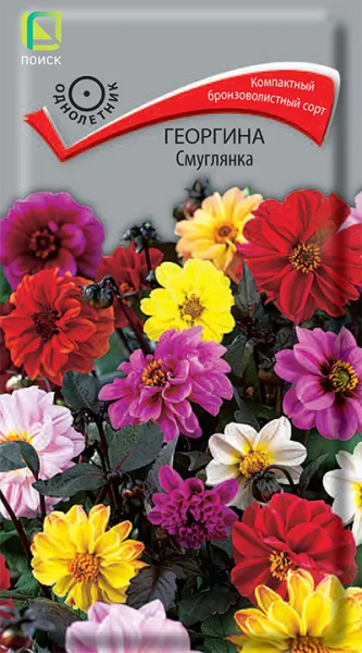 Георгина Смуглянка (ЦВ) 0,2г Георгина Смуглянка (ЦВ) 0,2г