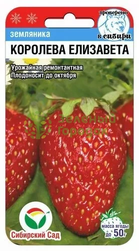 Земляника Королева Елизавета СИБ 10шт Земляника Королева Елизавета СИБ 10шт