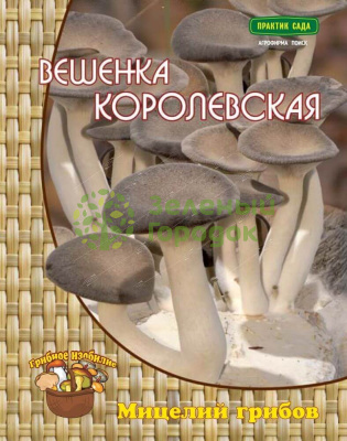 Вешенка королевская 12шт