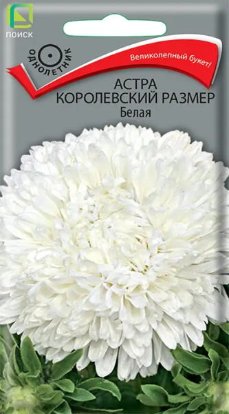 Астра королевский размер Белая (ЦВ) 0,1г Астра королевский размер Белая (ЦВ) 0,1г