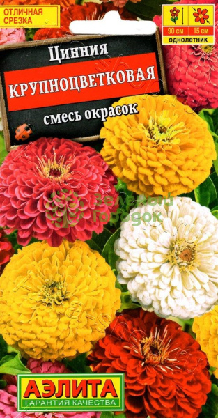 Цинния Крупноцветковая, смесь окрасок АЭ 0,3г